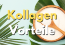 Kollagen